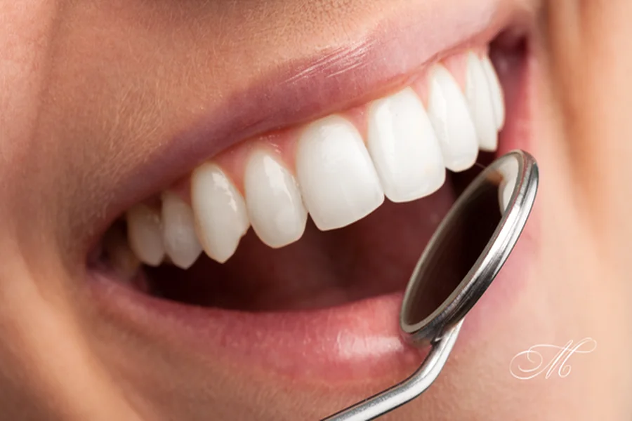 Dental Health: The Foundation of a Healthy Life Dental Health The Foundation of a Healthy Life