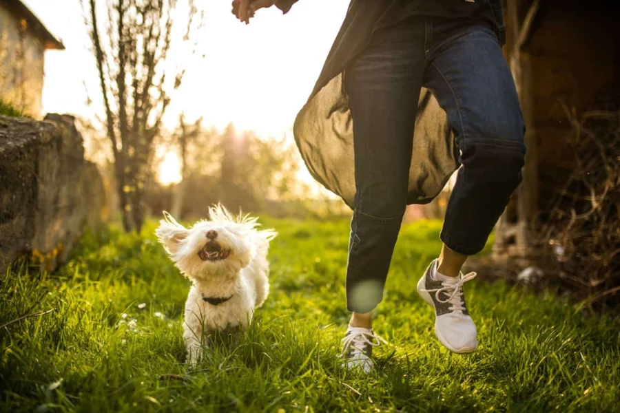 5 Reasons Pet Owners Rely On Animal Clinics For Peace Of Mind Animal Clinics