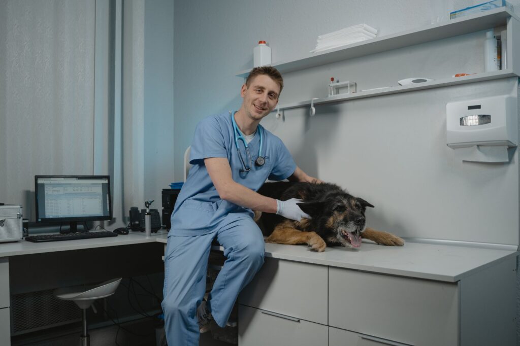 Why Animal Hospitals Are Leaders In Community Animal Welfare